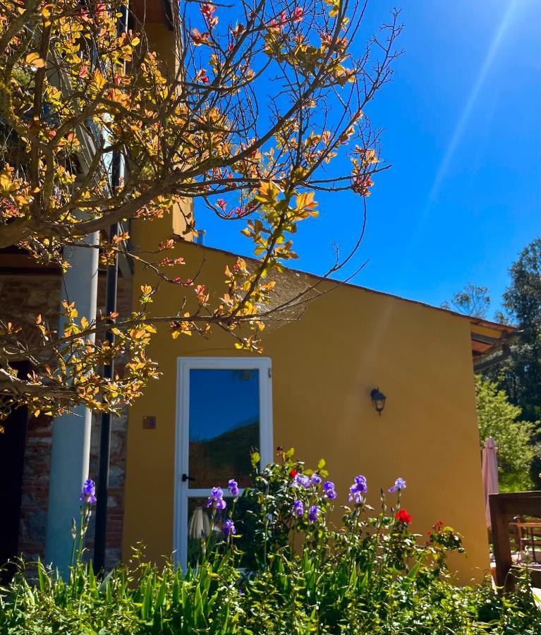 B&B La Fucinaia Pet Friendly Adults Only Кампилья-Мариттима Экстерьер фото
