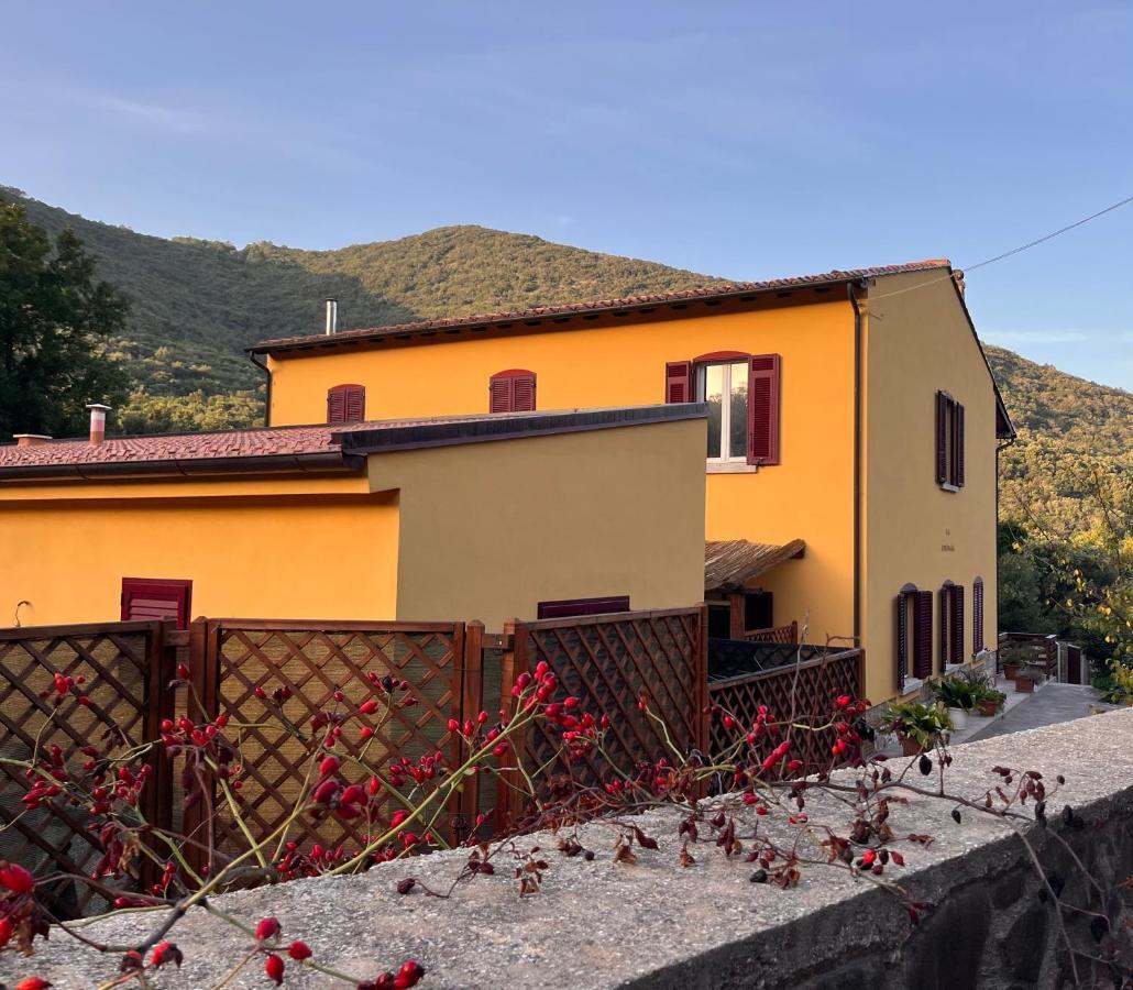 B&B La Fucinaia Pet Friendly Adults Only Кампилья-Мариттима Экстерьер фото