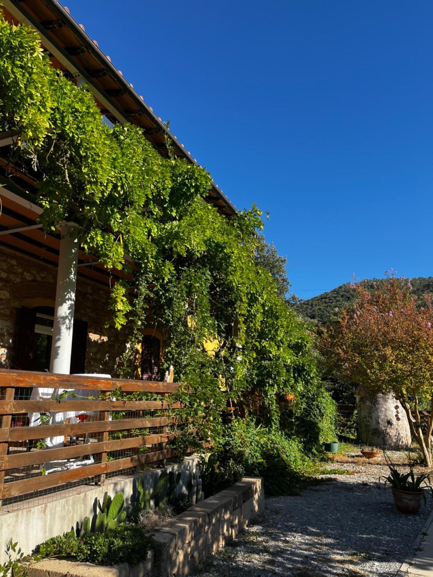B&B La Fucinaia Pet Friendly Adults Only Кампилья-Мариттима Экстерьер фото