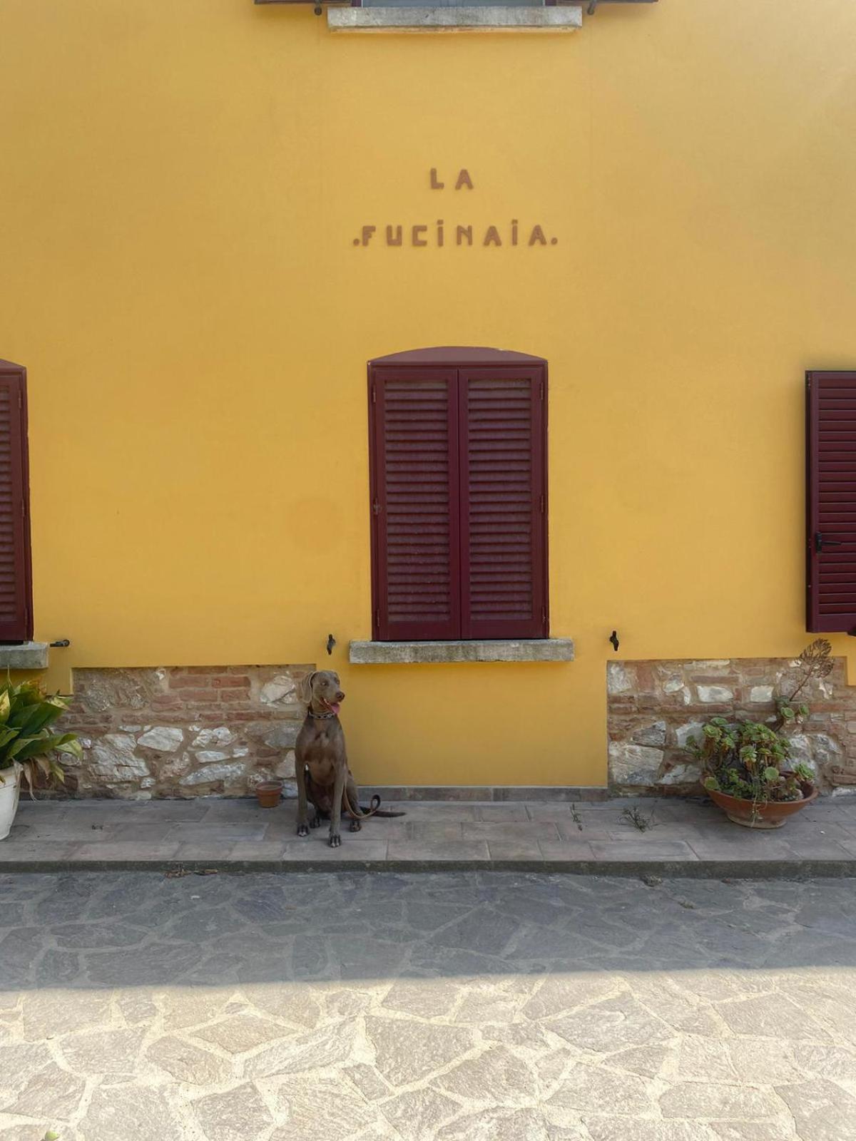 B&B La Fucinaia Pet Friendly Adults Only Кампилья-Мариттима Экстерьер фото